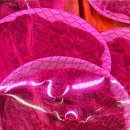 월성식육 이미지