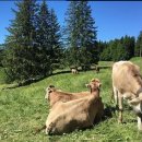 안녕한의원 이미지