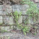 한농한의원 이미지