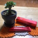 (주)엠지에프아이 이미지