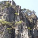 야호캠프 이미지