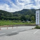 새술막막국수 이미지