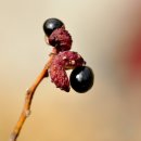 개산초등학교 이미지