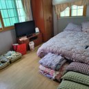 유동민박 이미지