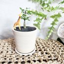 오르농장 이미지