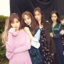 티아라 이미지