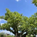 도봉-도봉-서울도봉-2022 이미지