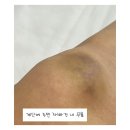 옳은안경 | 동대문 뉴뉴·미미라인 4시간동안 구경하고 온 비교 후기 (+필수 소품샵 2곳 더 추천!) 내돈내산