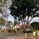 선은식농장 | 5살아이와 하와이여행 오아후 파인애플농장 돌플랜테이션 태닝키티 살수있는곳