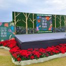대구 정원 박람회 -국화꽃 이미지