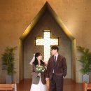 레드벨 펜션 | 강원도 야외 웨딩 스냅 후기 | 강릉·대관령 감성 웨딩스냅 촬영 이야기