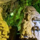 강기사 카 샵 이미지