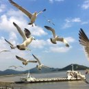 새 이미지