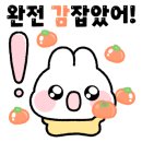 카카오VX 안성점