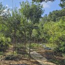 광개토농장 이미지