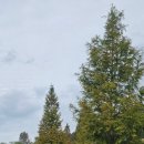 수변연가 이미지