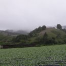 2012년 7월 15(일) 장맛비속의 드라이빙 일지(1) / 빗속에 젖어드는 대관령면 횡계리와 수하리 풍경들! 이미지