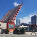 그린라인 이미지