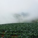 대관령휴