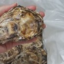 태화물산 이미지