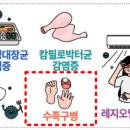 등원 이미지
