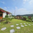 고운채 스테이 이미지