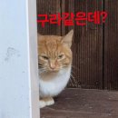 250725 디어마이뮤즈 디마뮤 엔플라잉 대면팬싸 후기