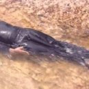 제주느낌 이미지