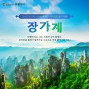✈️ 유류비 추가없는 5~6월 특별상품 장가계 여행이지x프리미어투어 효도관광추천 가족여행추천 단체여행추천