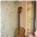 상아세탁소 이미지