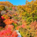 광주-곤지-곤지암-2 이미지