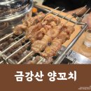 금강산양꼬치 이미지