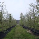 성문농장 이미지