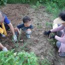 다우 농장 이미지