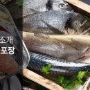 크린플러스 이미지