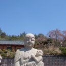 애자구제