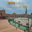 C&N HOSTEL | 안 가면 후회하는 세비야 1박2일 여행코스｜알카사르·스페인광장·대성당, 황금의탑까지