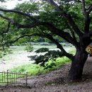 방호정민박 이미지