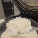 장성군농협조합공동사업법인 | 밥이보약, 밥맛 좋은 2025년 햅쌀 당진로얄삼광쌀 삼광미 특등급 추천