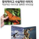 사이언스어린이집 | 선물하기 좋은 유아 과학 첫 전집! 뉴 베이비 사이언스 사용후기