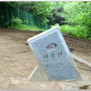 대불공원 좌측 이미지