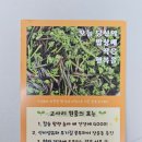 온도농장온달며느리 들녘고사리장아찌 후기 | 집밥 퀄리티 올려주는 국내산고사리장아찌