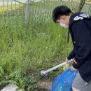 고흥고등학교 이미지