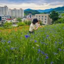 농지조성 이미지