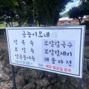 금능이모네 | [제주 맛집]에코랜드 근처 맛집, 아이와 함께 가기 좋은 보말칼국수 '금능이모네' 내돈내산 후기