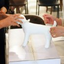 관문동물병원 이미지