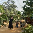 이화원(야외) | 가평 아이랑 가볼만한곳 실내 식물원 | 자라섬 이화원