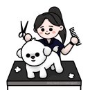 에이스 동물병원 펫샾 | 한국애견연맹 KKF 애견미용사 자격증 3급 2급 합격 후기