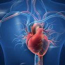 리얼리햅 맞춤운동센터 이미지