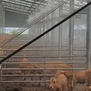 서천군농업기술센터 이미지